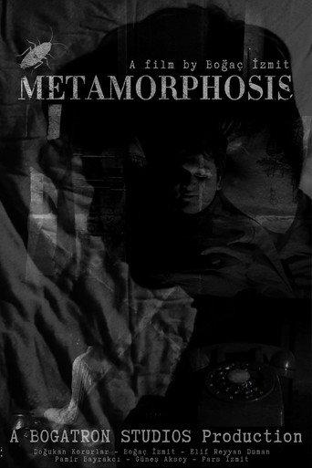 METAMORPHOSIS (2024) poster