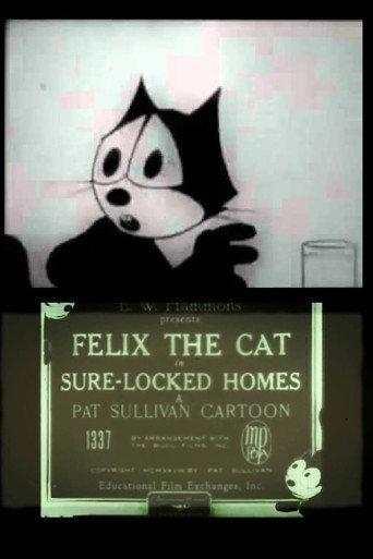 Sure-Locked Homes (1928) poster