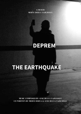 THE EARTHQUAKE () poster