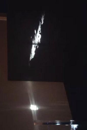 Metallic Shadow in the Dream - Window () poster