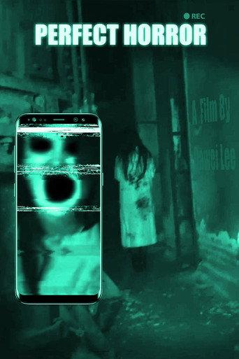 Perfect Horror (2016) poster