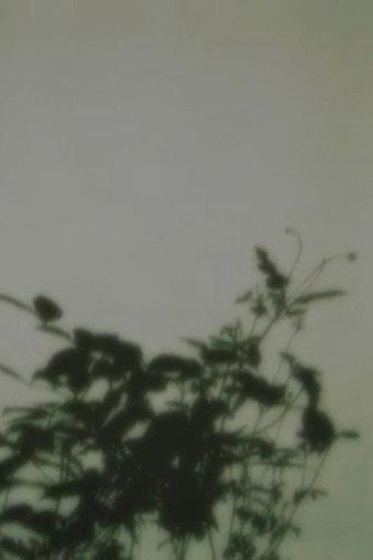 in the forest of shadows (2008) poster