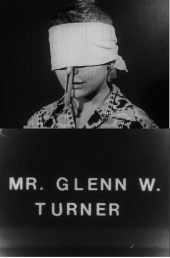 Mr. Glenn W. Turner (1990) poster