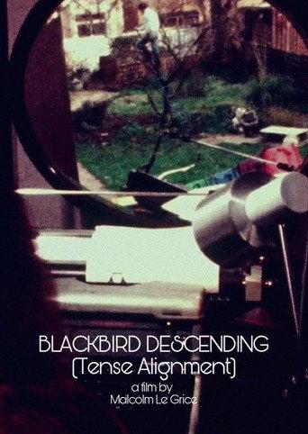 Blackbird Descending - Tense Alignment (1977) poster