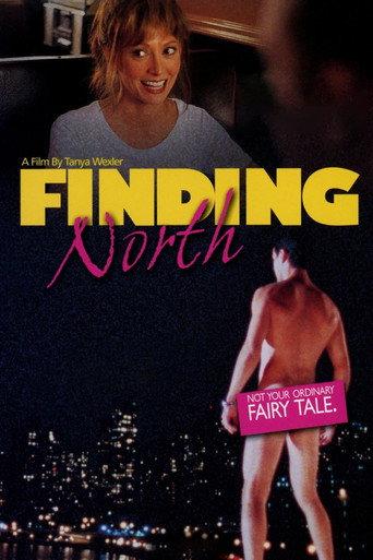 Finding North (1998) poster