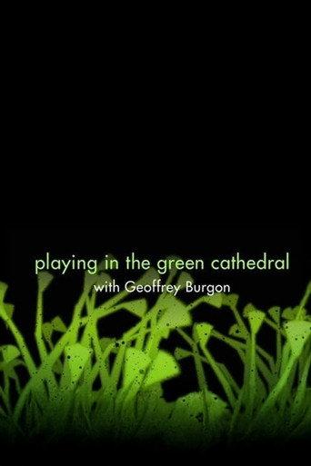 Playing in the Green Cathedral (2010) poster