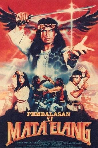 Vengeance of the Eagle Eye (1989) poster