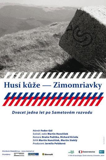Husí kůže – Zimomriavky (2014) poster