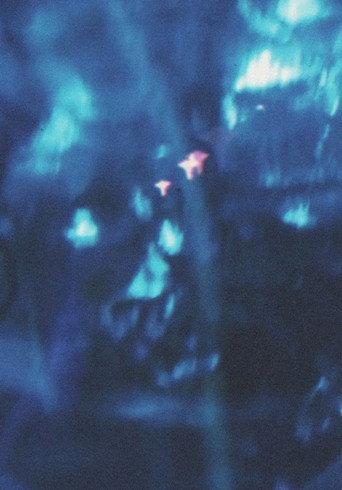 Surface (1989) poster