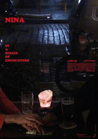 Nina in a Series of Encounters (2025) poster