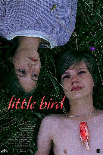 Little Bird (2014) poster