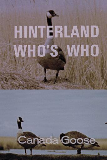 Hinterland Who's Who: Canada Goose (1967) poster