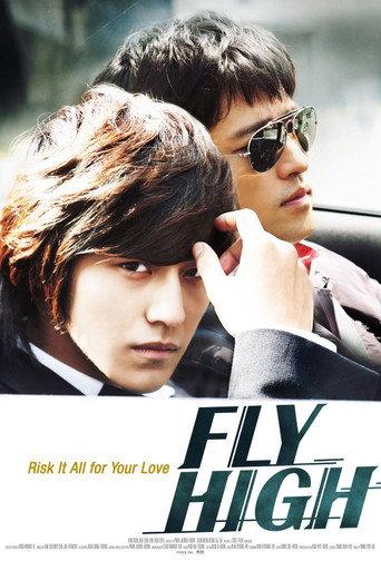 Fly High (2009) poster
