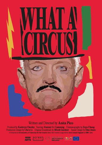 What a circus () poster