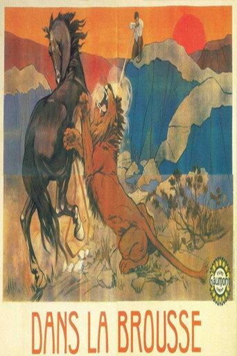 In the Bushes (1912) poster