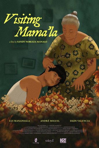 Visiting Mama'la () poster