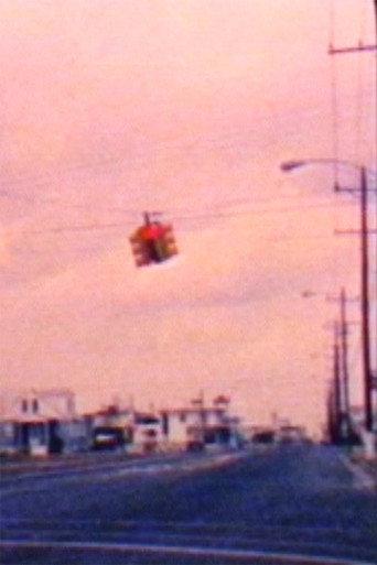 S-8 Diary: Wildwood 2/88 (1988) poster