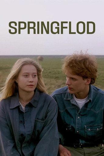 Spring Tide (1990) poster