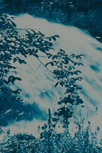 Le cascate di Terni (1913) poster