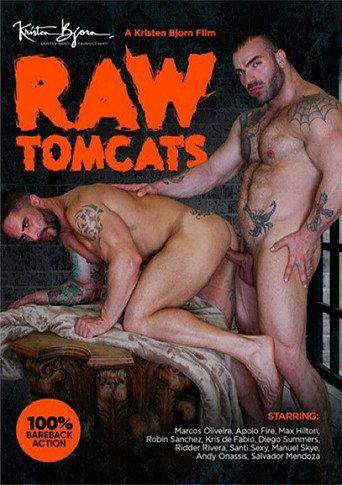 Raw Tomcats (2019) poster