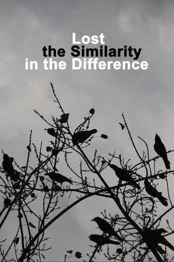 Lost the Similarity in the Difference (2020) poster
