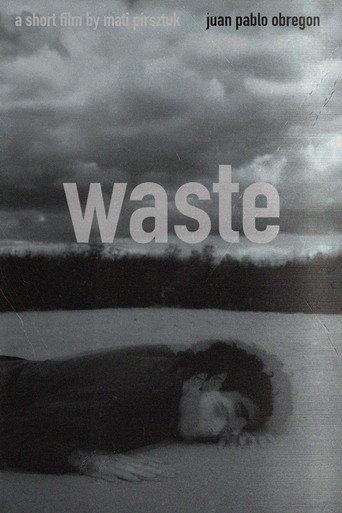 Waste () poster