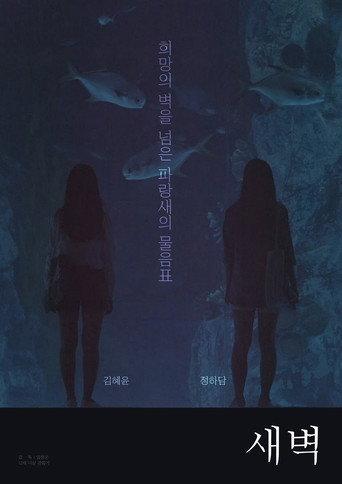 Dawn to Dawn (2018) poster