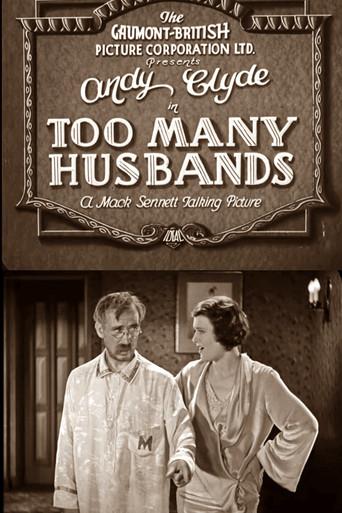 Too Many Husbands (1931) poster