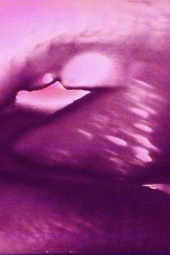 Hot Pink (1981) poster