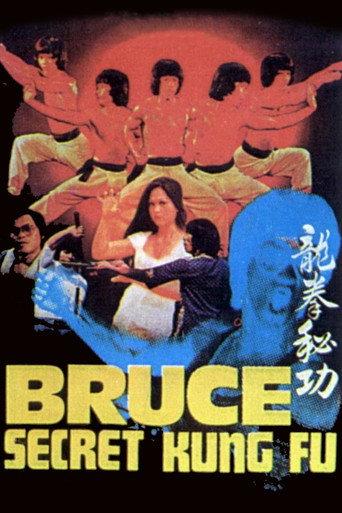 Bruce's Secret Kung Fu (1988) poster