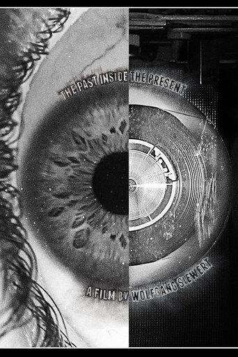 The Past Inside The Present (2016) poster