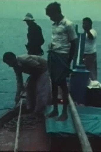 Bateaux et modes de pêche aux Maldives (1977) poster