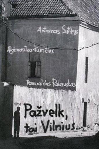 Look, it's Vilnius (2006) poster