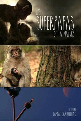 Nature's Superdads (2015) poster