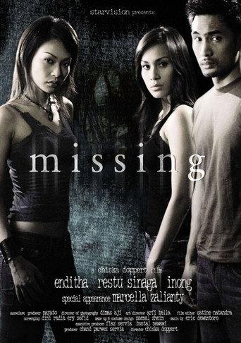 Missing (2005) poster
