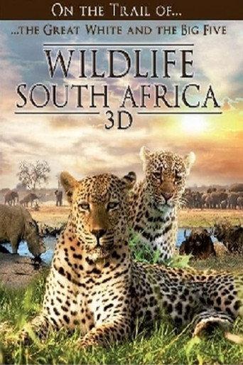 Wildlife South Africa 3D (2012) poster