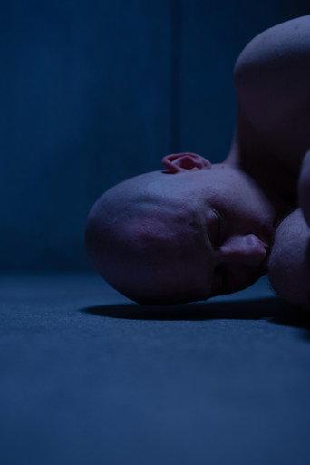 Incarnation (2023) poster
