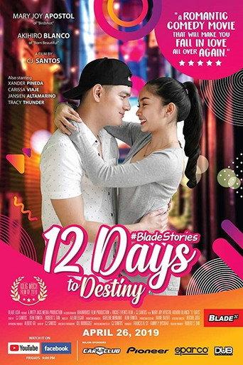 12 Days to Destiny (2019) poster