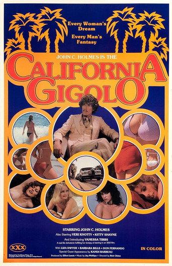 California Gigolo (1979) poster