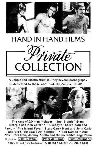 Private Collection (1980) poster