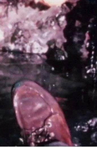 Cleansed II (1969) poster