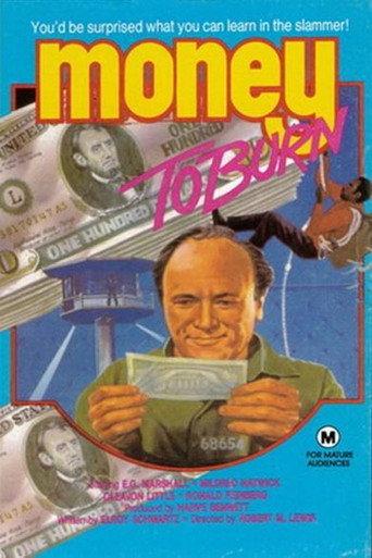 Money to Burn (1973) poster