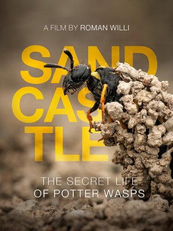 Sandcastle - The Secret Life Of Potter Wasps (2025) poster