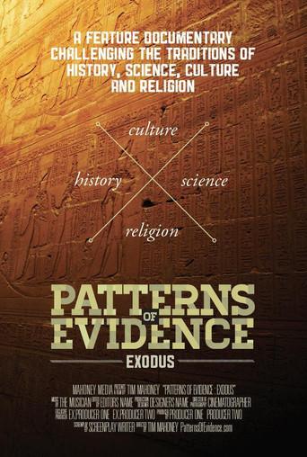 Patrones de Evidencia: El Éxodo () poster