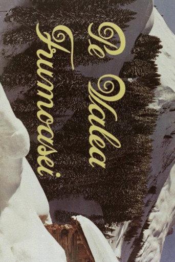 Along the Frumoasa Valley (1981) poster