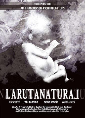The Natural Route (2004) poster