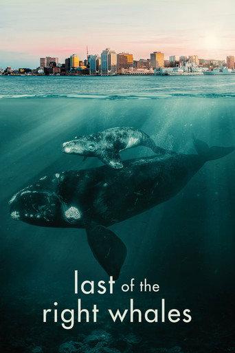 Last of the Right Whales (2021) poster
