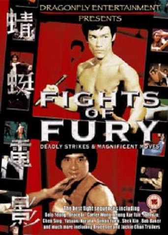 Fights of Fury (2004) poster