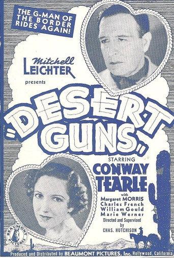 Desert Guns (1936) poster