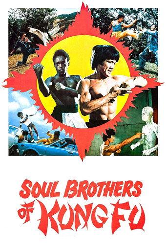 Soul Brothers of Kung Fu (1977) poster